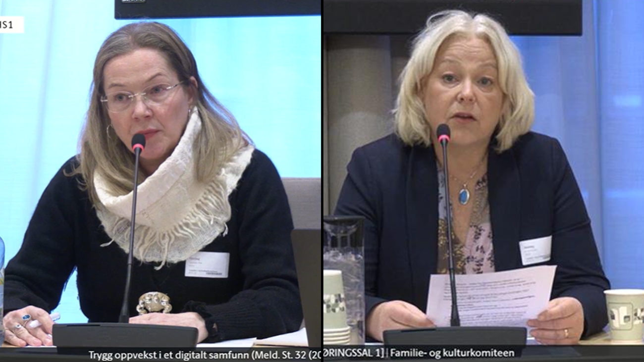 To damer snakker på en høring